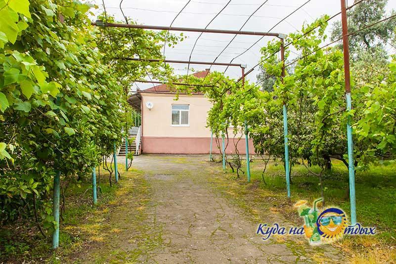 U Vili Hotel Pizunda Exterior foto